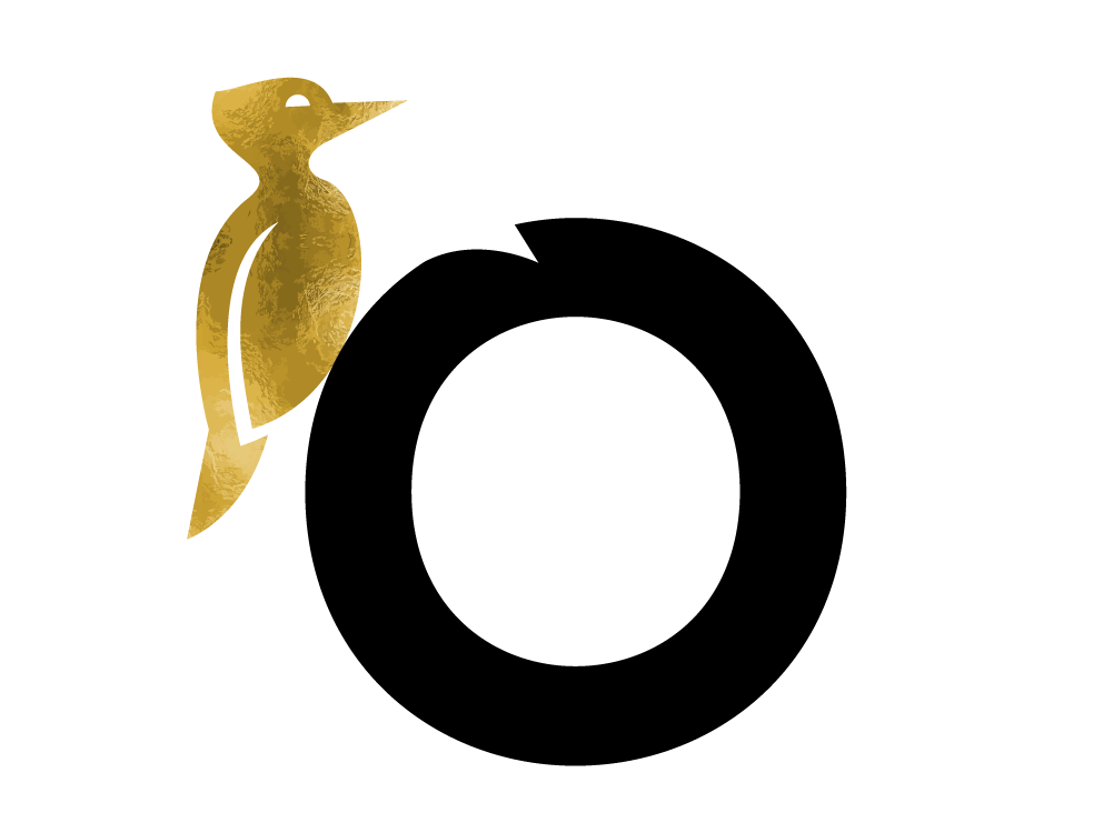 4_3-Picchio_O-2