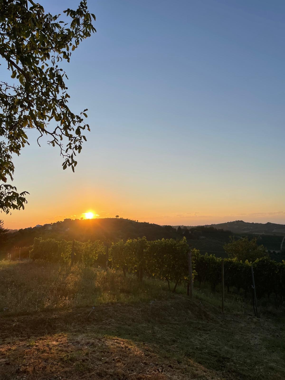 Morgenstimmung Sonnenaufgang an einem Sommermorgen im Piemont